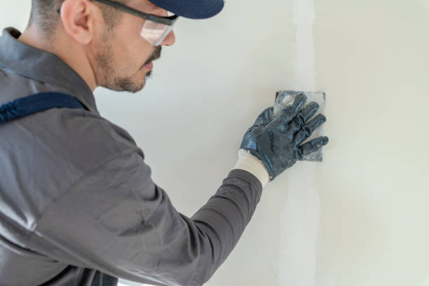 Best Trim and Molding Painting  in Boise City, OK