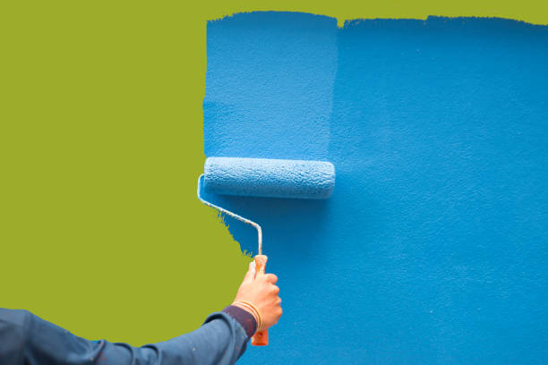 Best Wallpaper Removal and Painting  in Boise City, OK